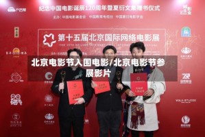 北京电影节入围电影/北京电影节参展影片