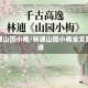 林逋山园小梅/林逋山园小梅全文翻译