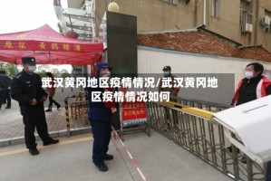 武汉黄冈地区疫情情况/武汉黄冈地区疫情情况如何