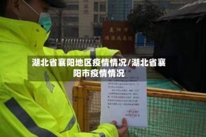 湖北省襄阳地区疫情情况/湖北省襄阳市疫情情况
