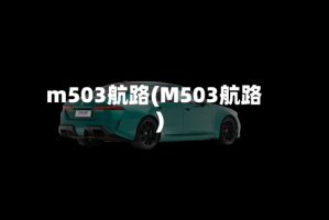 m503航路(M503航路)