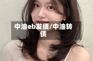 中油eb发债/中油转债