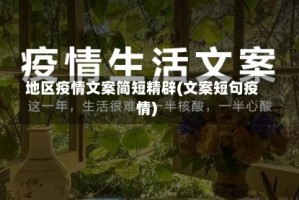 地区疫情文案简短精辟(文案短句疫情)