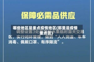 哪些地区是重点疫情地区(那里是疫情重点区)