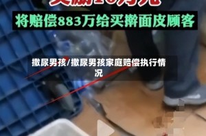 撒尿男孩/撒尿男孩家庭赔偿执行情况