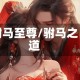 驸马至尊/驸马之道