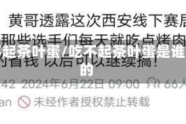 吃不起茶叶蛋/吃不起茶叶蛋是谁说的