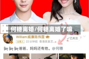 何穗离婚/何穗离婚了嘛
