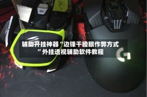 辅助开挂神器“边锋干瞪眼作弊方式”外挂透视辅助软件教程
