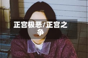正宫极恶/正宫之争