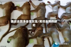 男孩去势净身变女生/男孩去势的好处