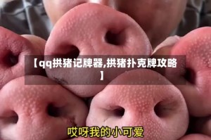 【qq拱猪记牌器,拱猪扑克牌攻略】
