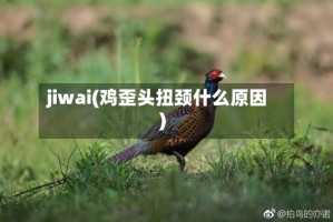 jiwai(鸡歪头扭颈什么原因)