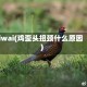 jiwai(鸡歪头扭颈什么原因)