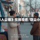 《隐入尘烟》在线观看/隐尘小说