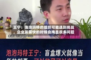 王宁：泡泡玛特的组织可能遇到挑战，企业发展快的时候会掩盖很多问题