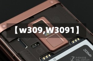 【w309,W3091】