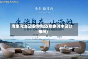 唐家湾地区疫情情况(唐家湾小区分布图)
