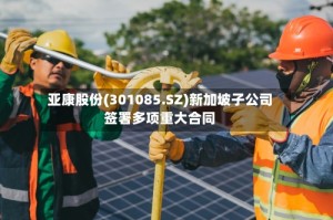亚康股份(301085.SZ)新加坡子公司签署多项重大合同