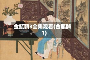 金瓶酶3全集观看(金瓶酶1)