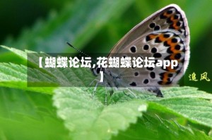 【蝴蝶论坛,花蝴蝶论坛app】