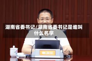 湖南省委书记/湖南省委书记是谁叫什么名字