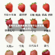 草莓什么时候成熟(草莓什么时候成熟上市)