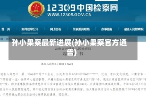 孙小果案最新进展(孙小果案官方通告)