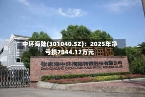 中环海陆(301040.SZ)：2025年净亏损7844.17万元