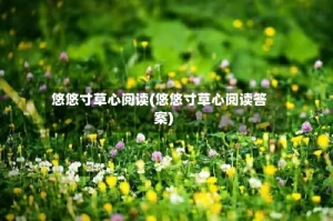 悠悠寸草心阅读(悠悠寸草心阅读答案)