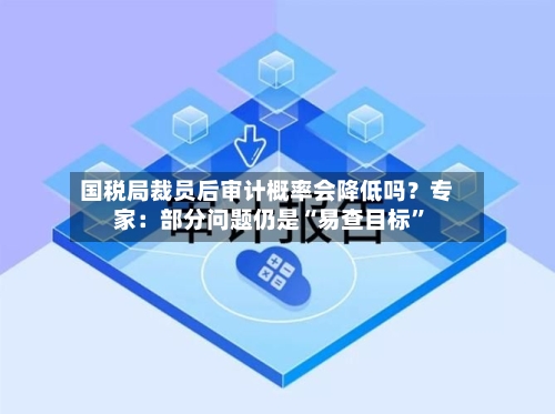 国税局裁员后审计概率会降低吗？专家：部分问题仍是“易查目标”-第3张图片
