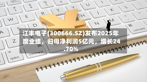 江丰电子(300666.SZ)发布2025年度业绩，归母净利润5亿元，增长24.70%-第1张图片