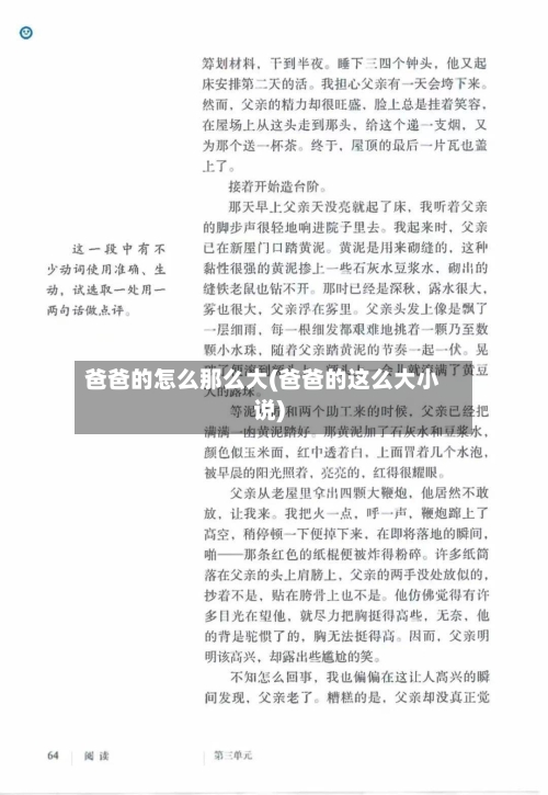 爸爸的怎么那么大(爸爸的这么大小说)-第1张图片