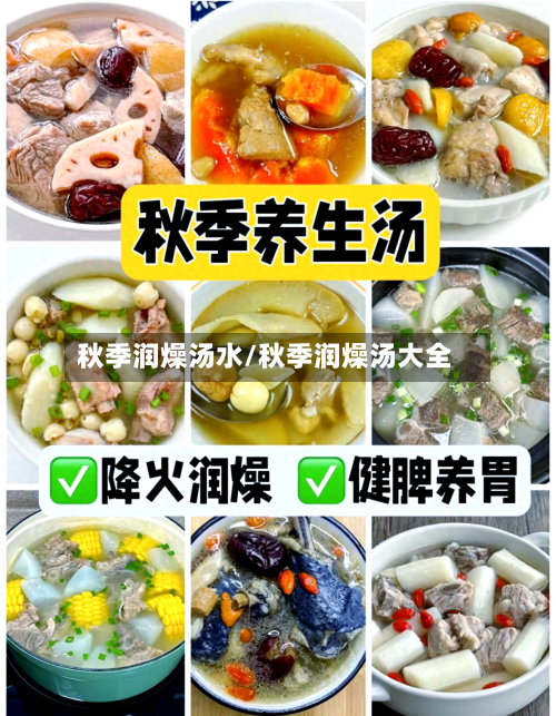 秋季润燥汤水/秋季润燥汤大全-第2张图片