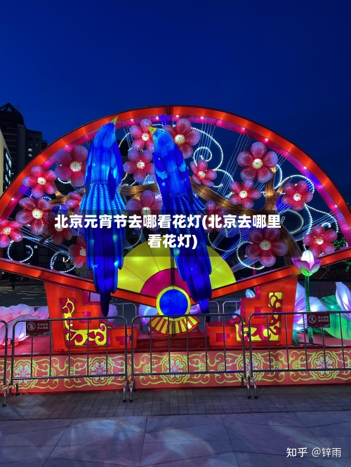 北京元宵节去哪看花灯(北京去哪里看花灯)-第2张图片