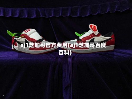 aj1芝加哥官方费用(aj1芝加哥百度百科)-第3张图片