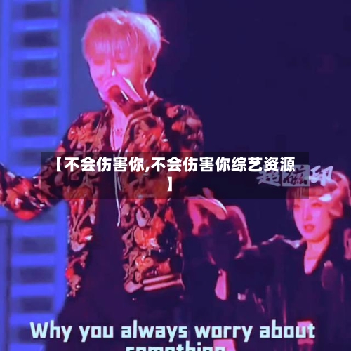 【不会伤害你,不会伤害你综艺资源】-第2张图片