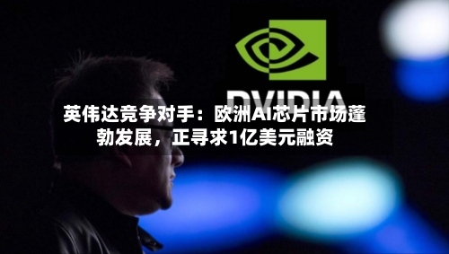 英伟达竞争对手：欧洲AI芯片市场蓬勃发展，正寻求1亿美元融资-第3张图片
