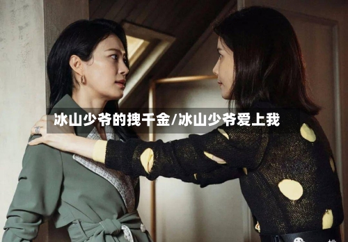 冰山少爷的拽千金/冰山少爷爱上我-第2张图片