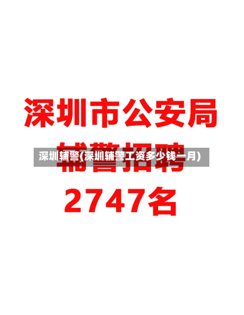 深圳辅警(深圳辅警工资多少钱一月)-第1张图片