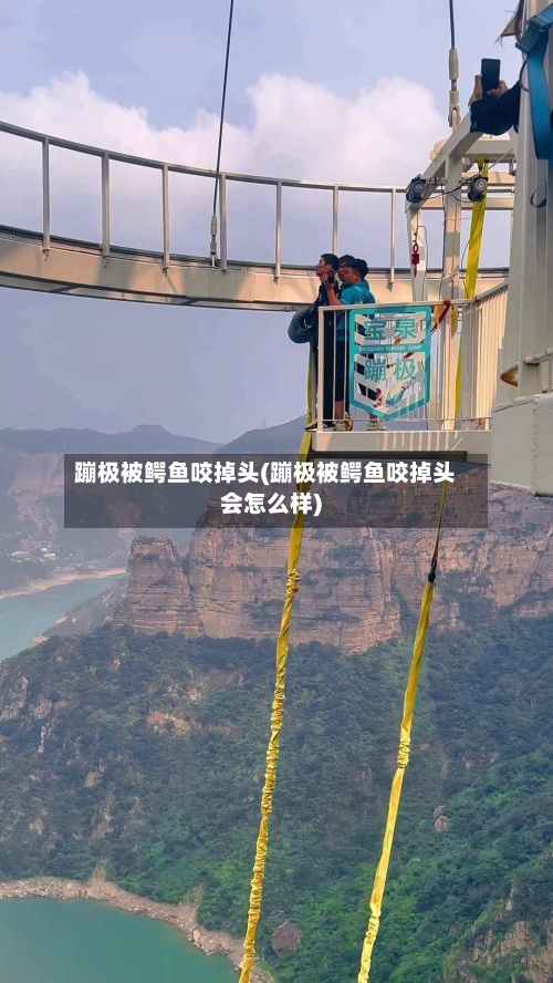 蹦极被鳄鱼咬掉头(蹦极被鳄鱼咬掉头会怎么样)-第1张图片