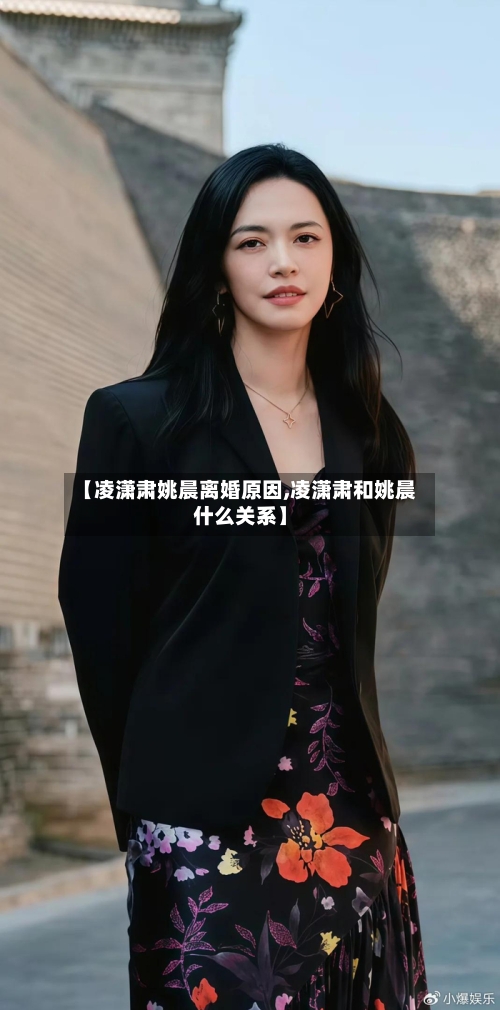 【凌潇肃姚晨离婚原因,凌潇肃和姚晨什么关系】-第3张图片