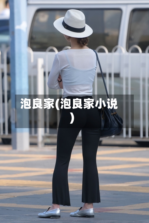 泡良家(泡良家小说)-第3张图片