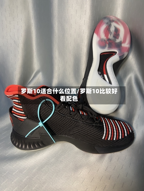 罗斯10适合什么位置/罗斯10比较好看配色-第1张图片