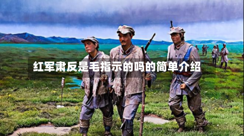 红军肃反是毛指示的吗的简单介绍-第2张图片