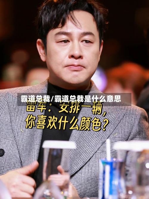 霸道总裁/霸道总裁是什么意思-第1张图片