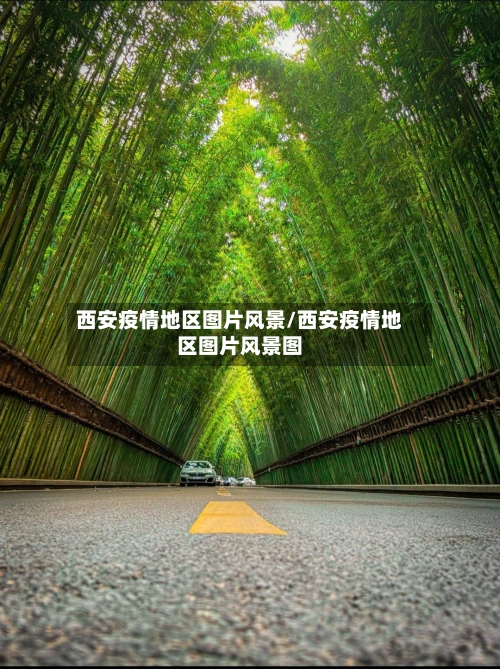 西安疫情地区图片风景/西安疫情地区图片风景图-第2张图片