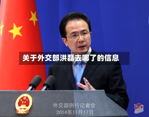 关于外交部洪磊去哪了的信息-第1张图片