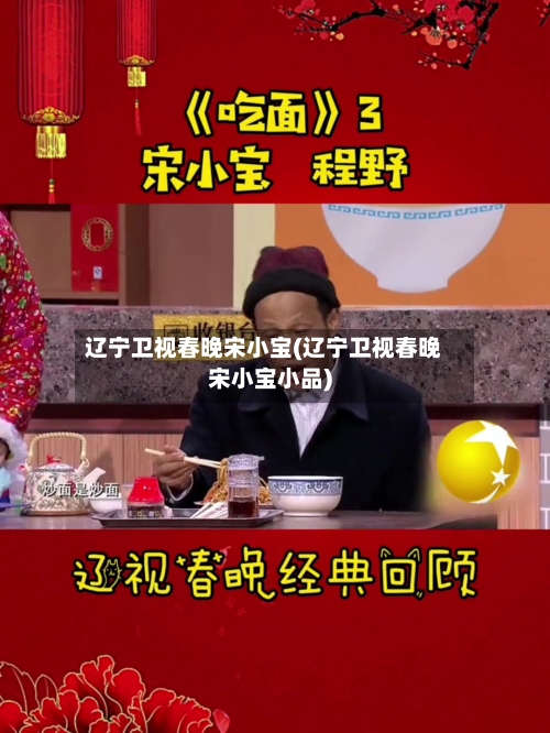 辽宁卫视春晚宋小宝(辽宁卫视春晚宋小宝小品)-第2张图片
