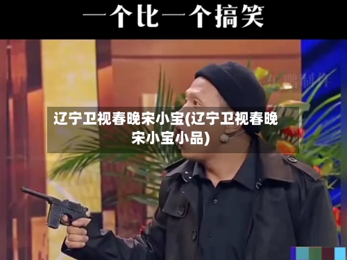 辽宁卫视春晚宋小宝(辽宁卫视春晚宋小宝小品)-第3张图片